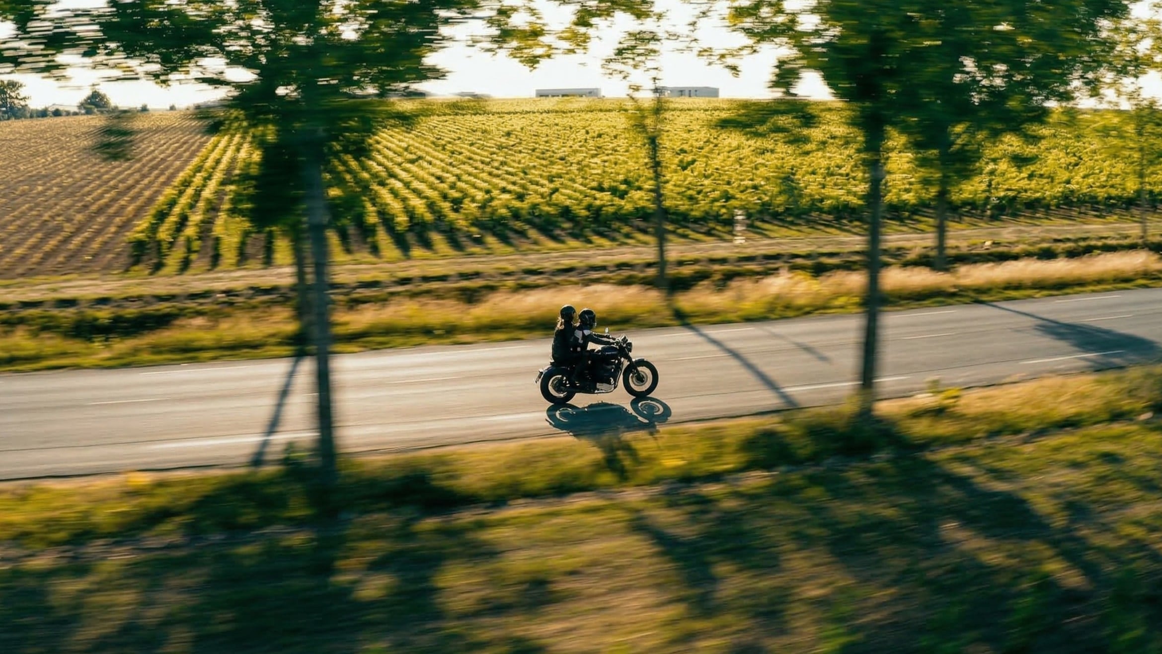 Paradoxe — Reims, France · 2024